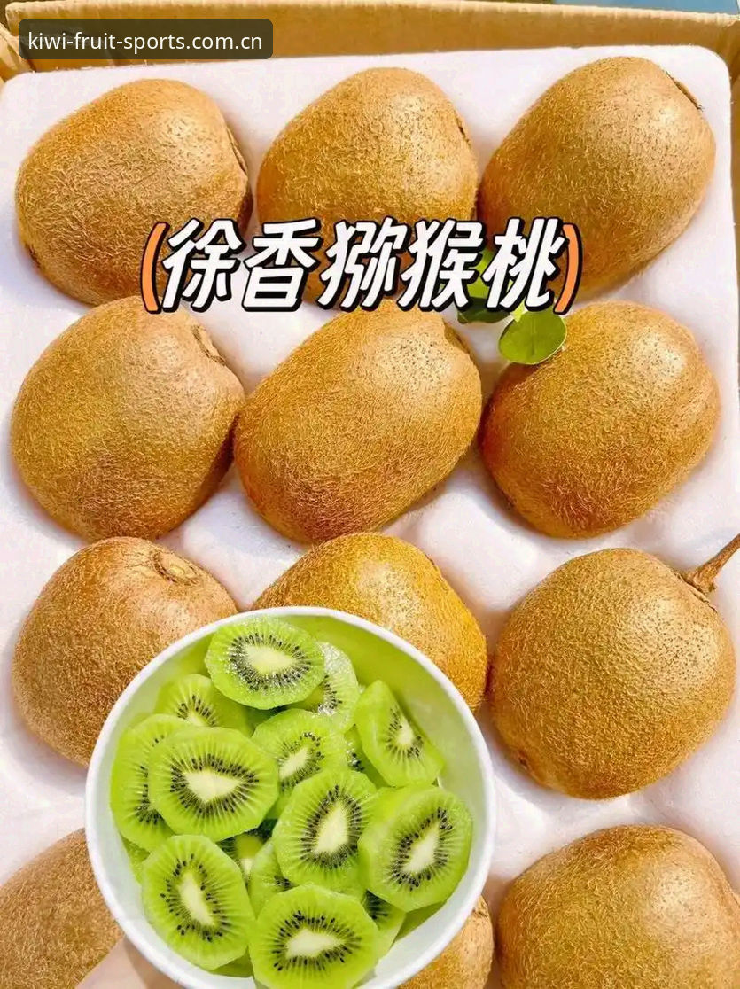 奇异果体育安卓版 奇异果体育安卓版功能详解与使用指南