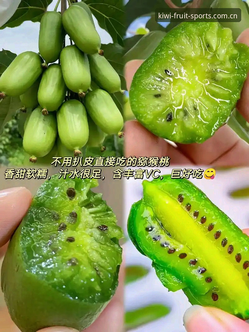 奇异果体育PC版深度评测：专业体育直播平台的全方位解析