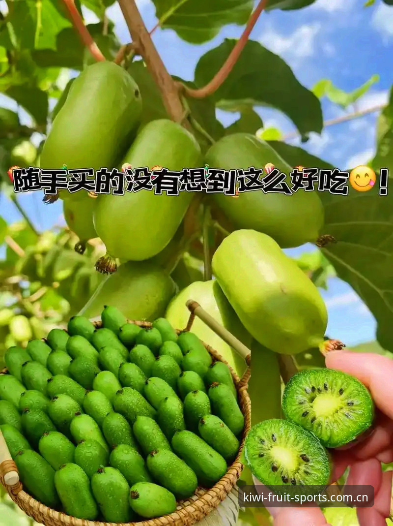 奇异果体育安卓版安全吗 5个关键点帮你判断奇异果体育安卓版安全吗——新手必读的安装与使用指南